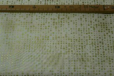 Stof fabrics - Amazing stars Dots lind